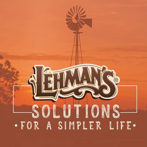 Solutions for a Simpler Life Podcast Artwork Image