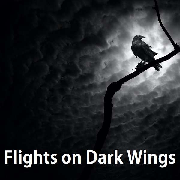 Flights on Dark Wings Podcast Artwork Image
