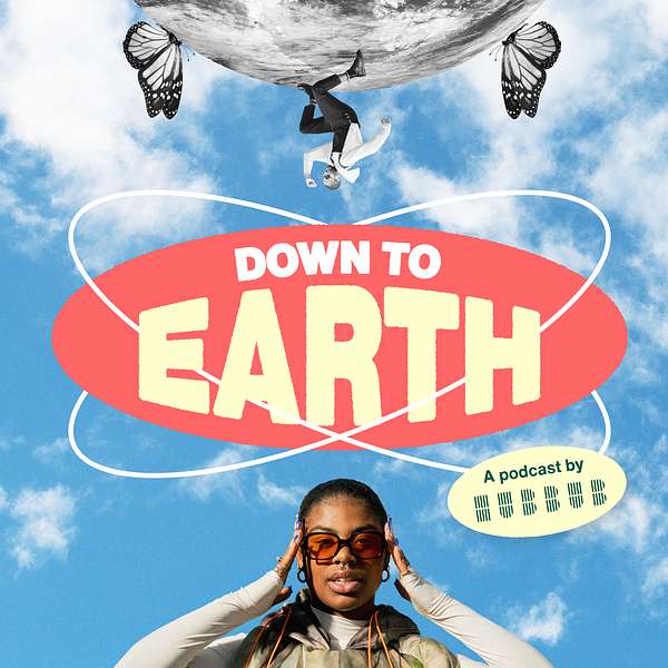 Down To Earth - The Hubbub Podcast Podcast Artwork Image