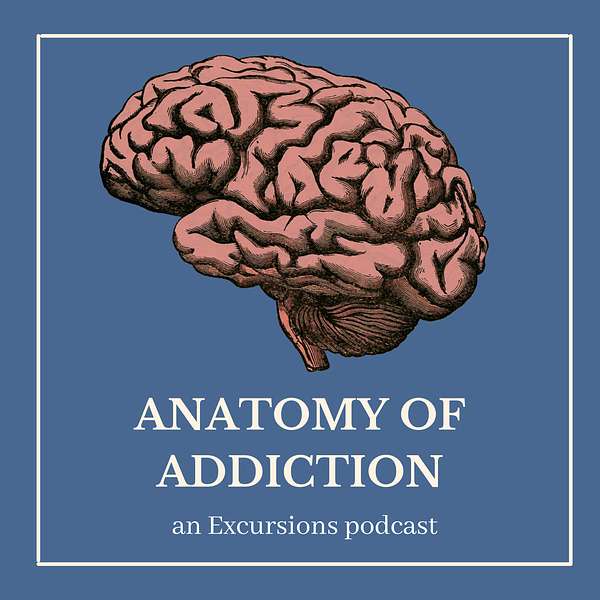 Anatomy of Addiction Podcast Artwork Image