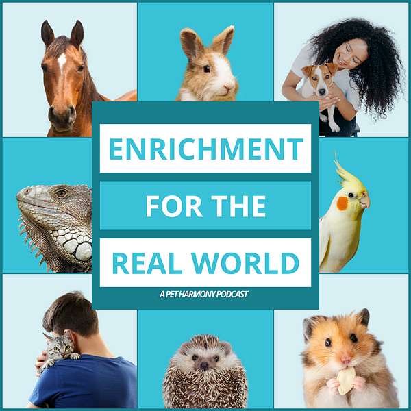 Enrichment for the Real World Podcast Artwork Image