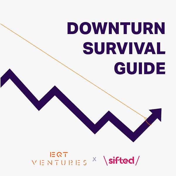 Downturn Survival Guide  Podcast Artwork Image