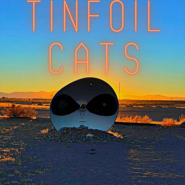 Tin Foil Cats Podcast Artwork Image