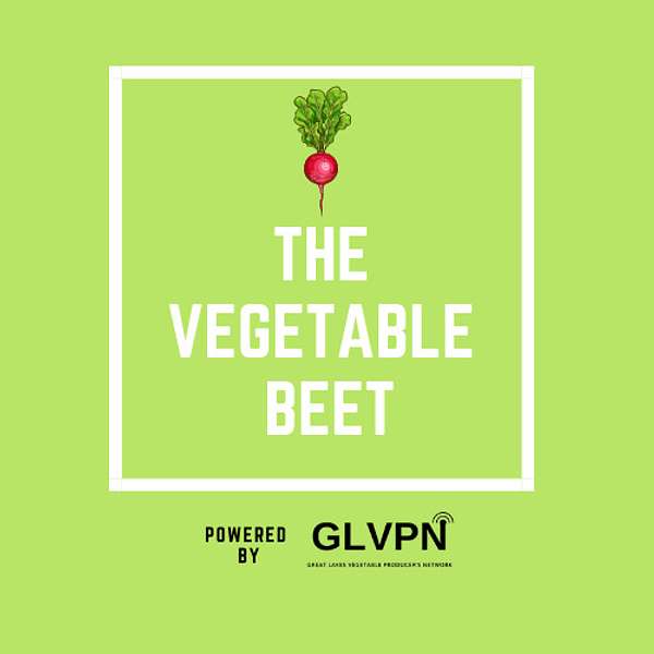 The Vegetable Beet Podcast Artwork Image