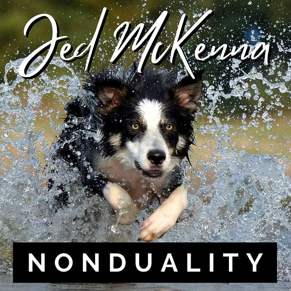 Jed McKenna Nonduality Podcast Artwork Image